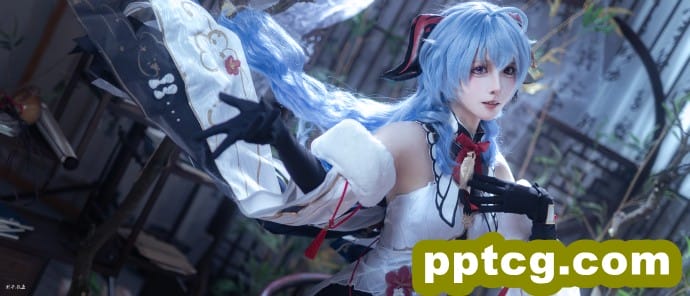 雪中红梅-皮皮兔动漫