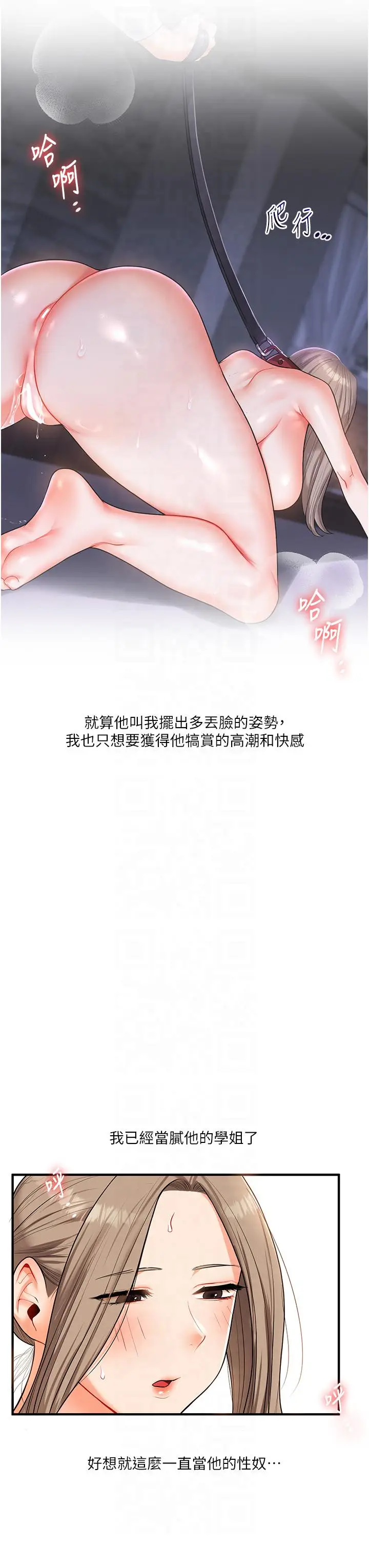 第37话  在雾气里开新「菊」_玩转学姊