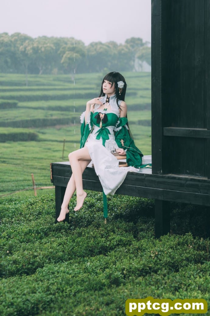 青衫烟雨客 ，似是故人来