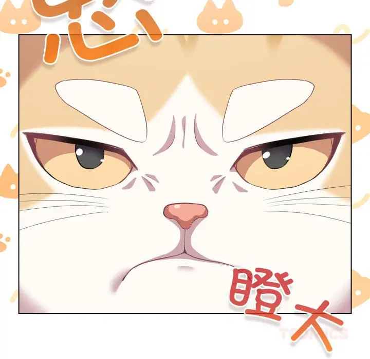 33 喵来的恋爱_喵来的恋爱