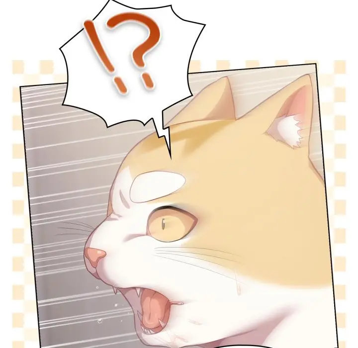 33 喵来的恋爱_喵来的恋爱