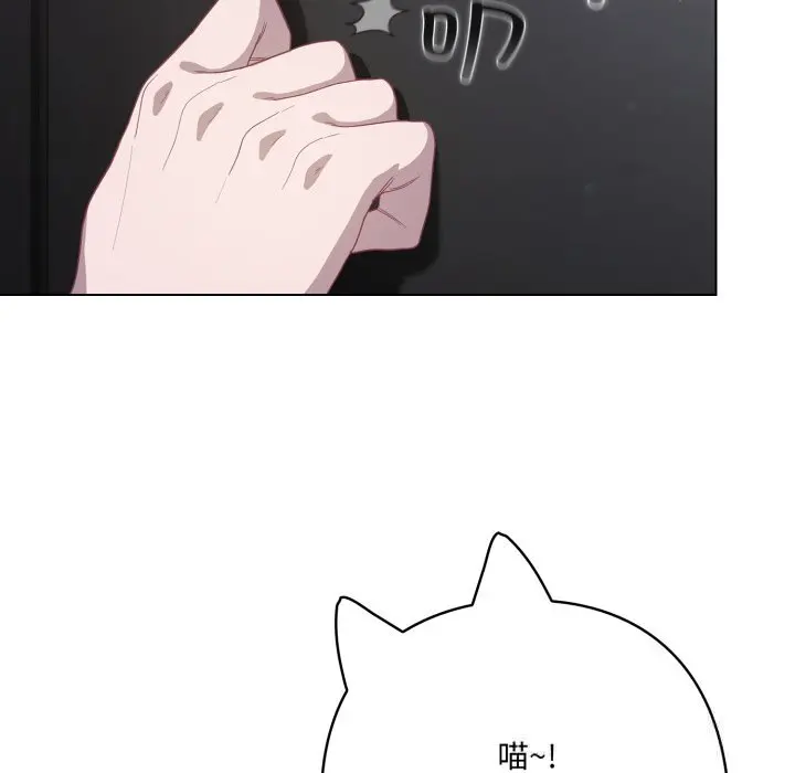 29 喵来的恋爱_喵来的恋爱