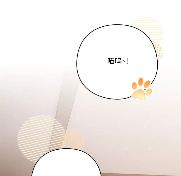 29 喵来的恋爱_喵来的恋爱