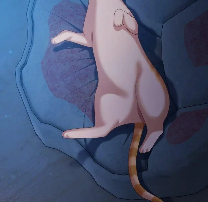 27 喵来的恋爱_喵来的恋爱