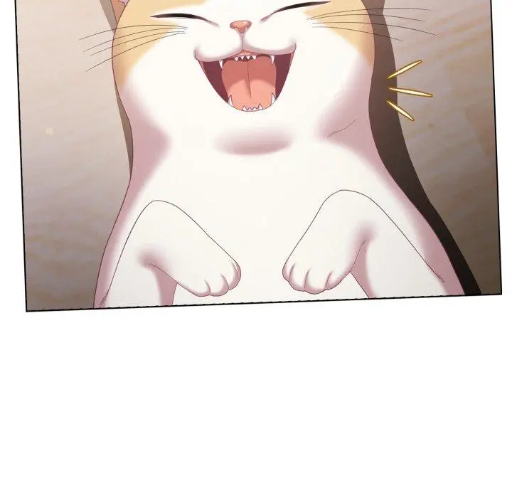 24 喵来的恋爱_喵来的恋爱