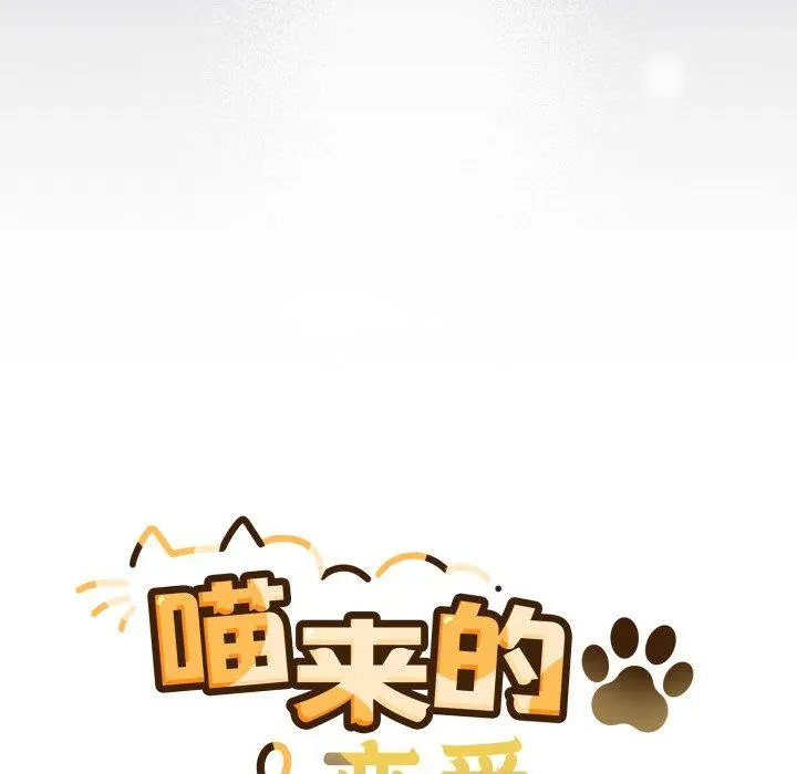 19 喵来的恋爱_喵来的恋爱