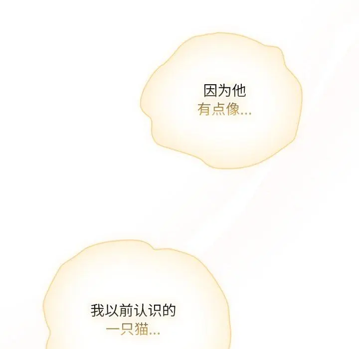 19 喵来的恋爱_喵来的恋爱