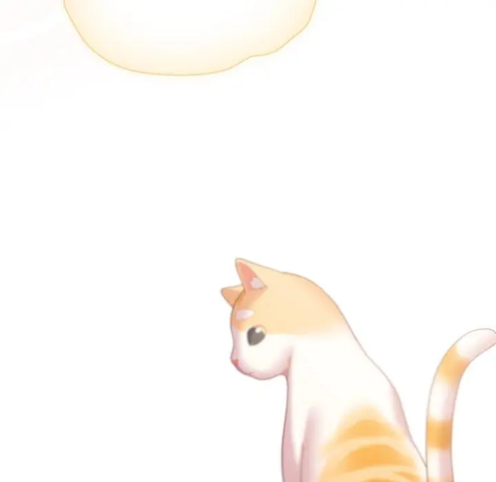 19 喵来的恋爱_喵来的恋爱