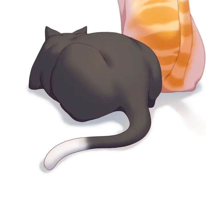 19 喵来的恋爱_喵来的恋爱