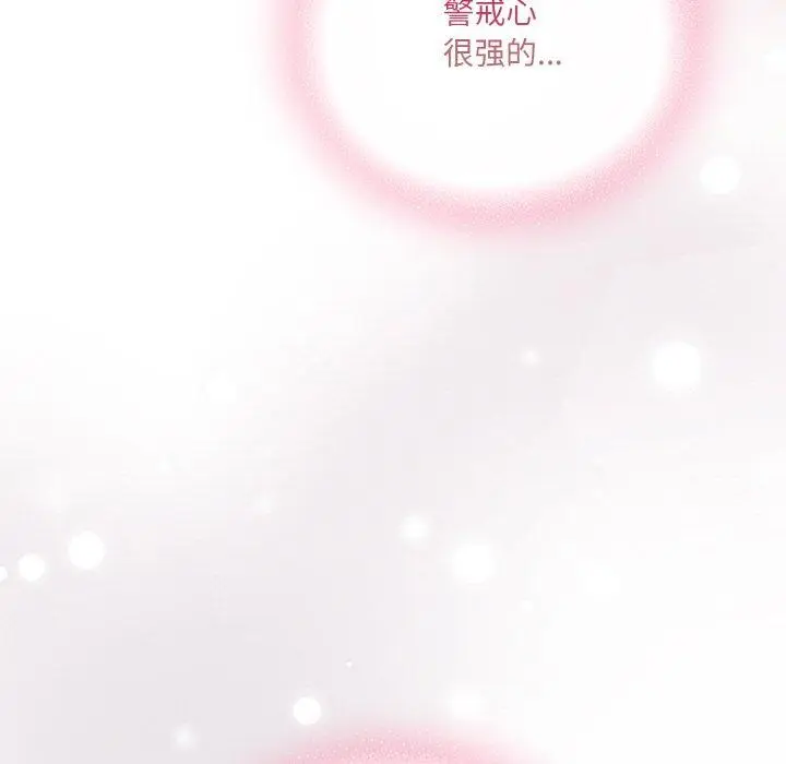 13 喵来的恋爱_喵来的恋爱