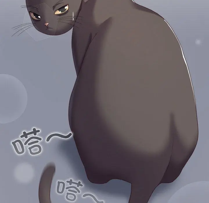 13 喵来的恋爱_喵来的恋爱