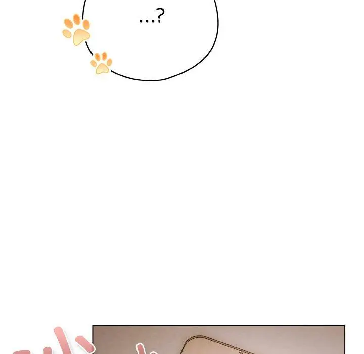 13 喵来的恋爱_喵来的恋爱