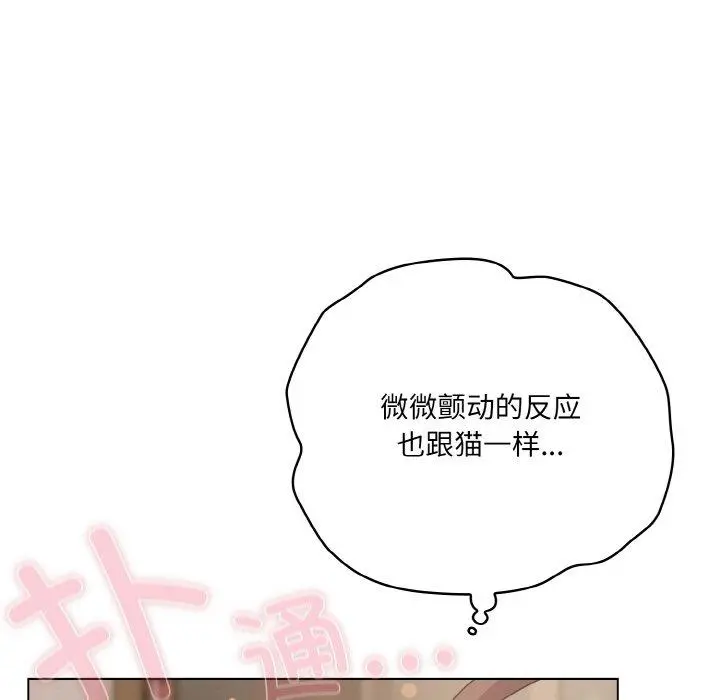 13 喵来的恋爱_喵来的恋爱