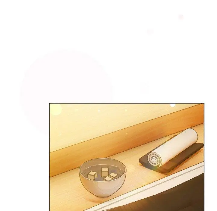 12 喵来的恋爱_喵来的恋爱