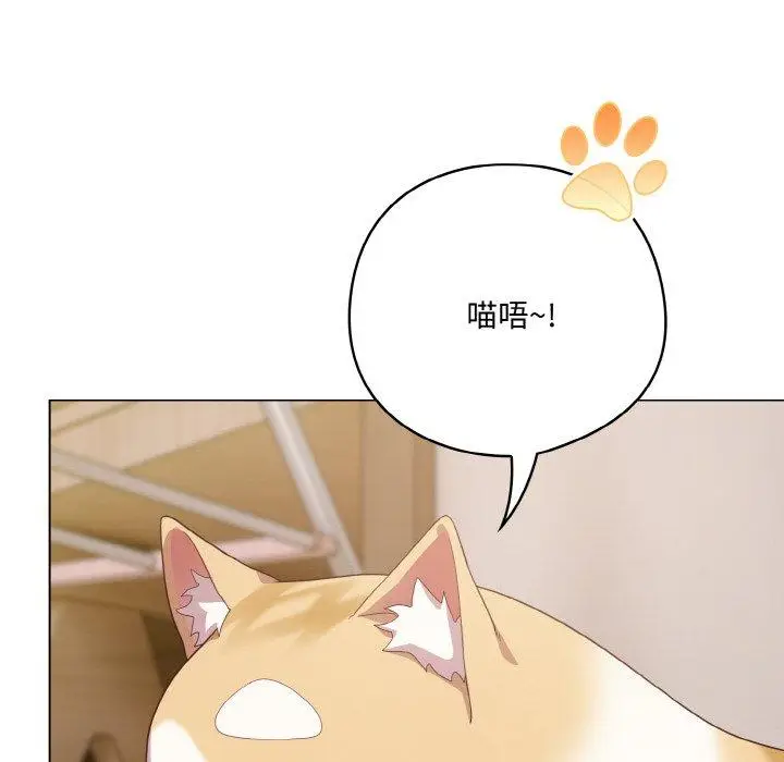 12 喵来的恋爱_喵来的恋爱