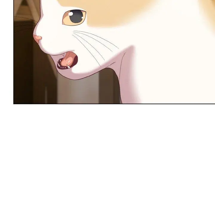 12 喵来的恋爱_喵来的恋爱