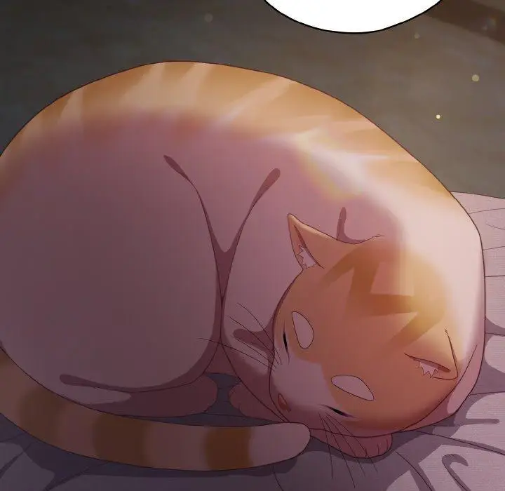 10 喵来的恋爱_喵来的恋爱