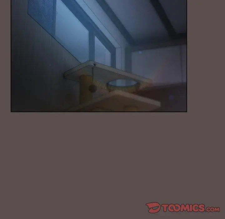 10 喵来的恋爱_喵来的恋爱