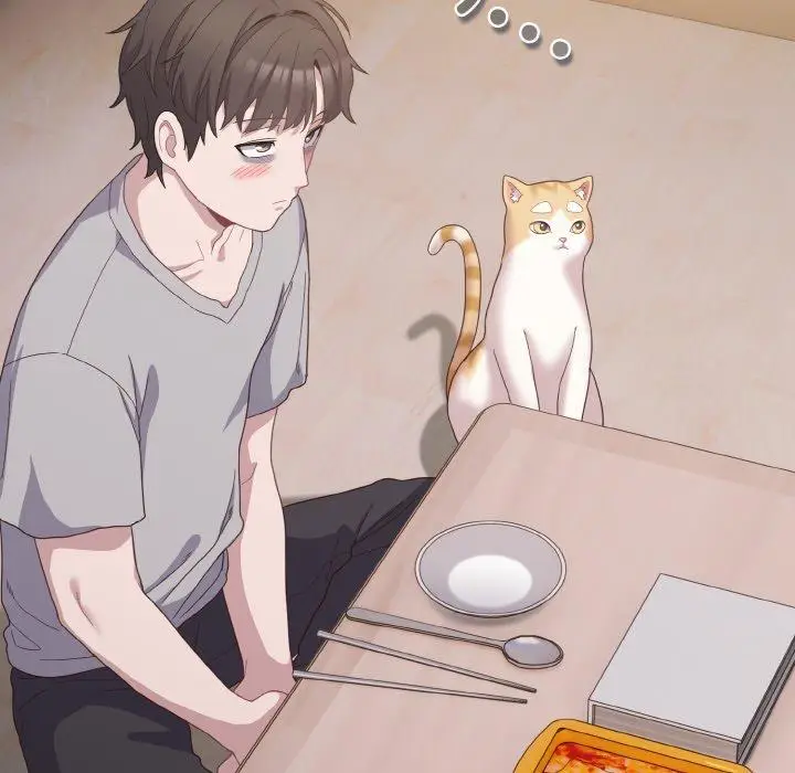 10 喵来的恋爱_喵来的恋爱