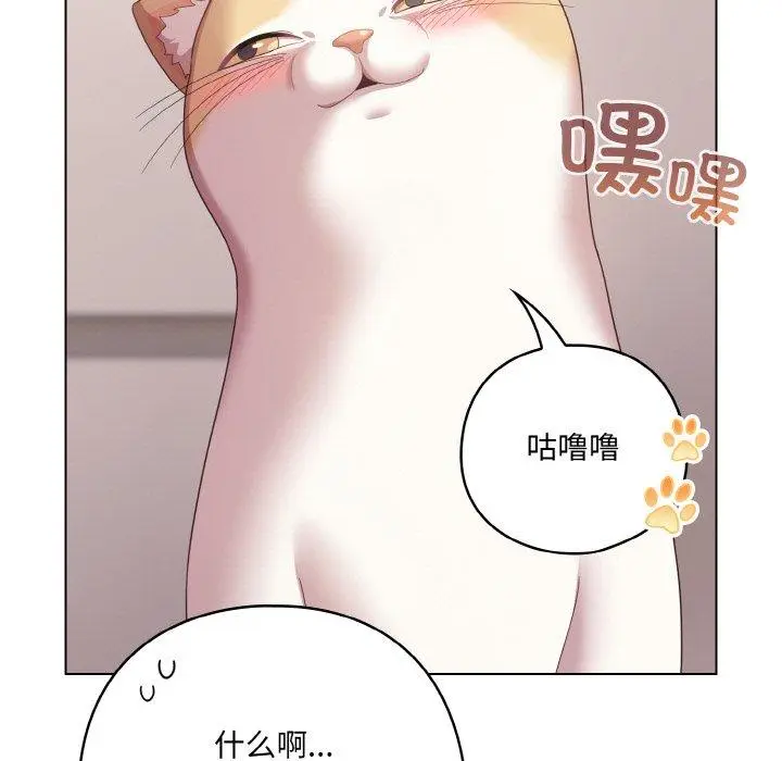 10 喵来的恋爱_喵来的恋爱