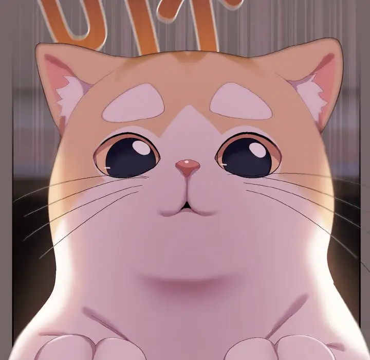 第 3 话_喵来的恋爱