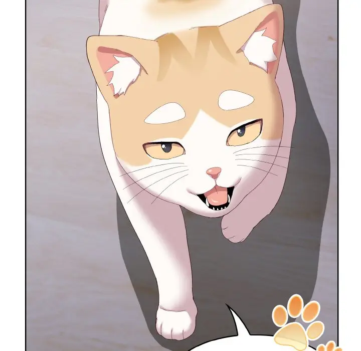 第 2 话_喵来的恋爱