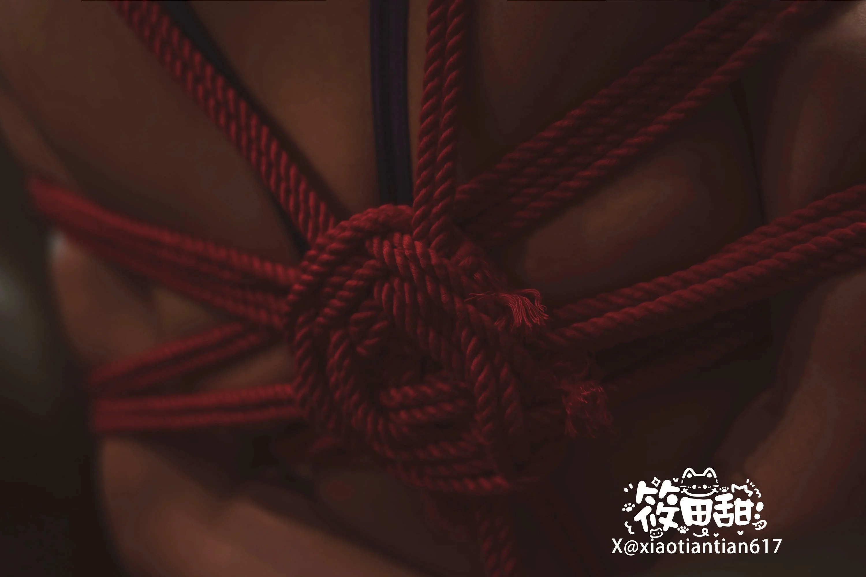 香草奶喵 - 竞泳绳艺