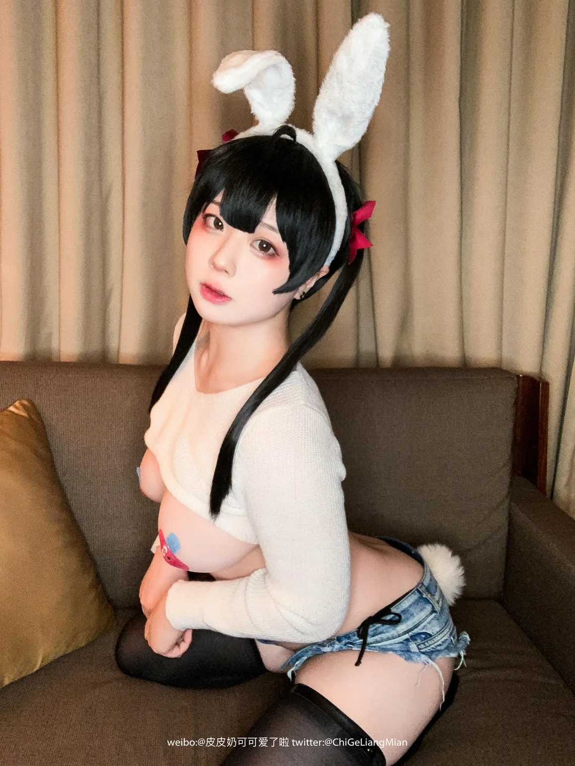 皮皮奶可可爱了啦 - 披萨白兔