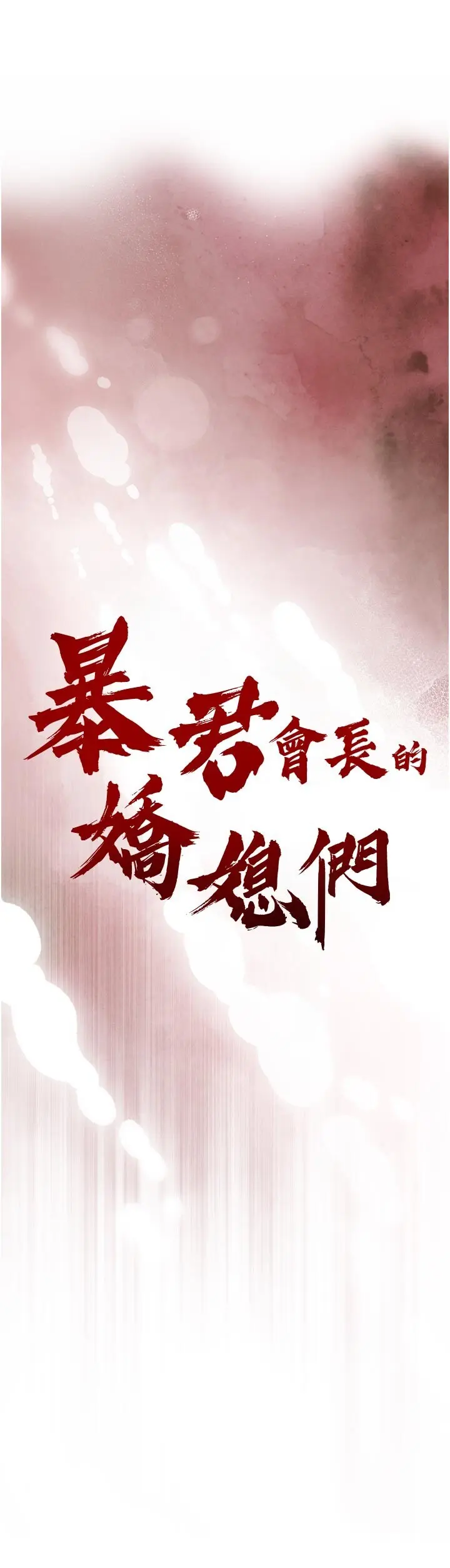 第26話  大媳婦 vs 二媳婦_暴君会长的娇媳们