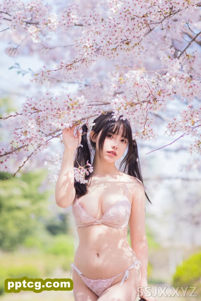 六味帝皇酱 – 樱花女友